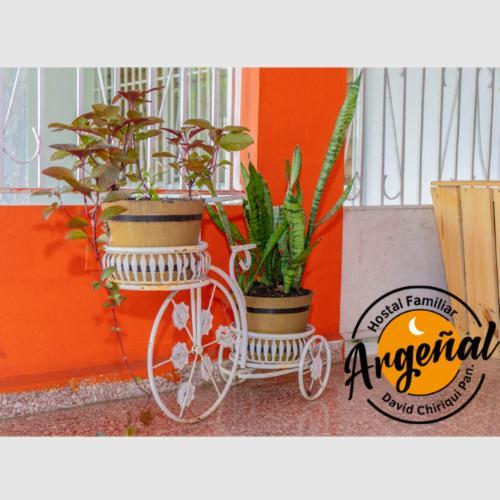 Hostal Familiar Argenal - David Luaran gambar